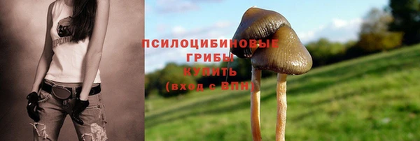Альфа ПВП Верхнеуральск