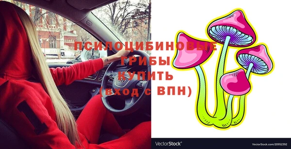 прущие крисы Вязники