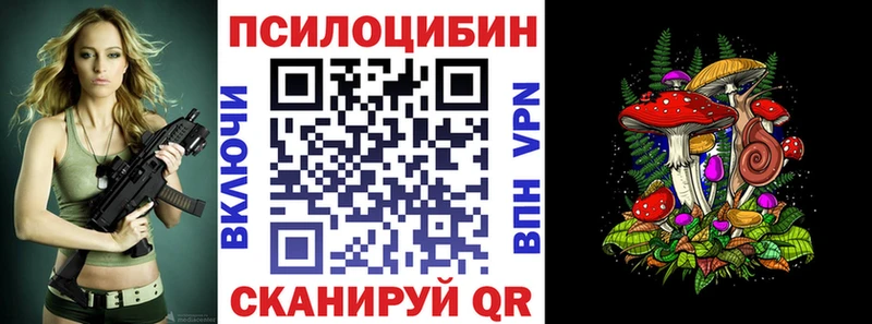 Купить  Кушва  Псилоцибиновые грибы Cubensis 